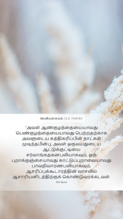 லேவியராகமம் 12:6 TAMIRV Bible Verse Image