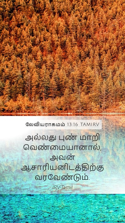 லேவியராகமம் 13:16 TAMIRV Mobile Phone Wallpaper - அல்லது புண் மாறி - Mobile Bible Verse Wallpaper