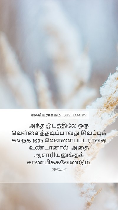 லேவியராகமம் 13:19 TAMIRV Mobile Phone Wallpaper - அந்த இடத்திலே ஒரு - Mobile Bible Verse Wallpaper