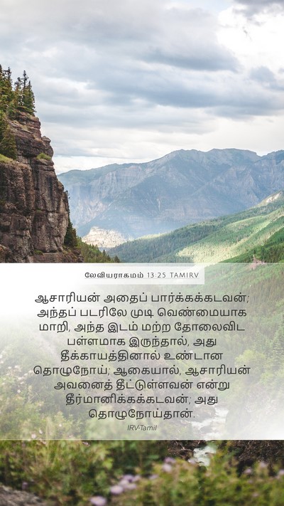 லேவியராகமம் 13:25 TAMIRV Mobile Phone Wallpaper - ஆசாரியன் அதைப் - Mobile Bible Verse Wallpaper