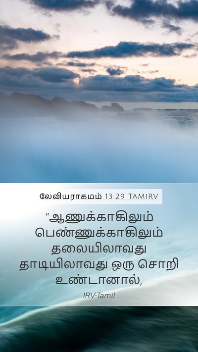 லேவியராகமம் 13:29 TAMIRV Bible Verse Image