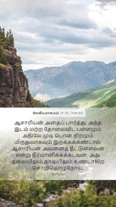 லேவியராகமம் 13:30 TAMIRV Bible Verse Image