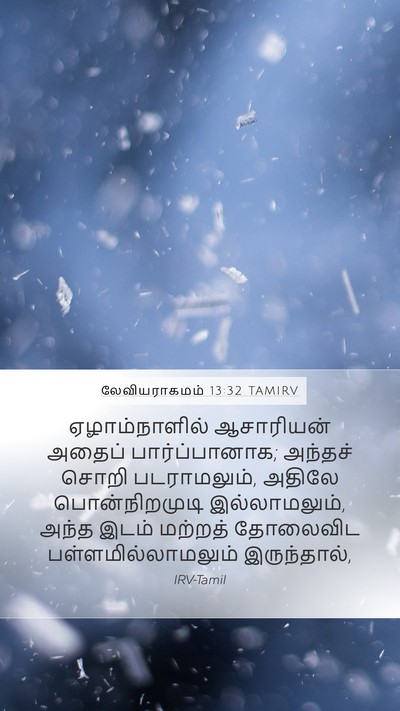 லேவியராகமம் 13:32 TAMIRV Mobile Phone Wallpaper - ஏழாம்நாளில் - Mobile Bible Verse Wallpaper