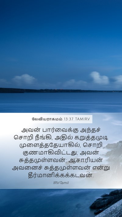 லேவியராகமம் 13:37 TAMIRV Mobile Phone Wallpaper - அவன் பார்வைக்கு - Mobile Bible Verse Wallpaper