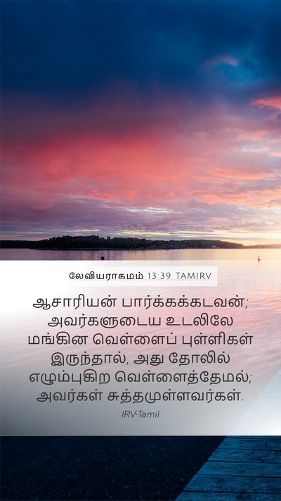 லேவியராகமம் 13:39 TAMIRV Mobile Phone Wallpaper - ஆசாரியன் - Mobile Bible Verse Wallpaper