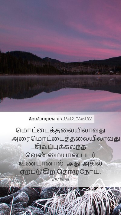 லேவியராகமம் 13:42 TAMIRV Mobile Phone Wallpaper -  - Mobile Bible Verse Wallpaper