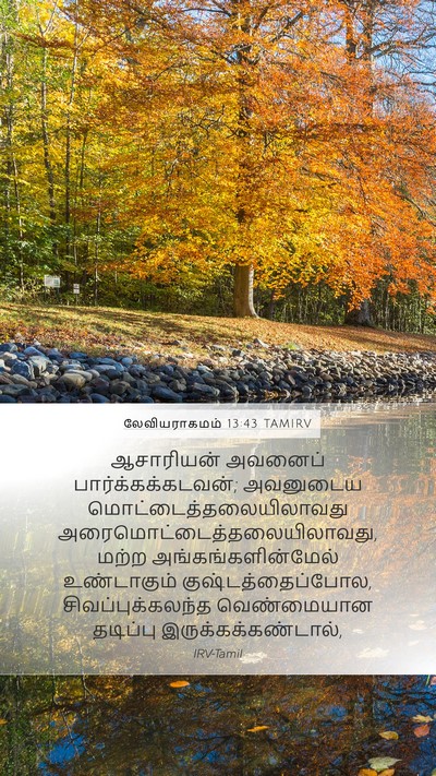 லேவியராகமம் 13:43 TAMIRV Bible Verse Image