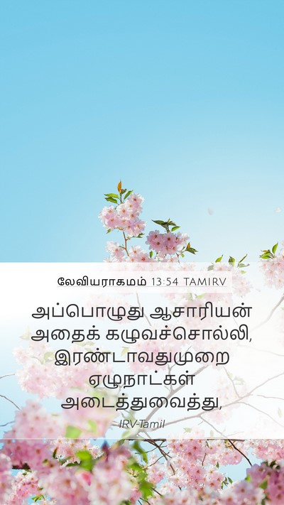 லேவியராகமம் 13:54 TAMIRV Mobile Phone Wallpaper - அப்பொழுது - Mobile Bible Verse Wallpaper