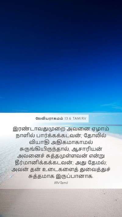 லேவியராகமம் 13:6 TAMIRV Mobile Phone Wallpaper - இரண்டாவதுமுறை - Mobile Bible Verse Wallpaper