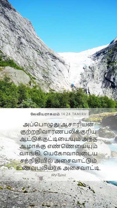 லேவியராகமம் 14:24 TAMIRV Bible Verse Image