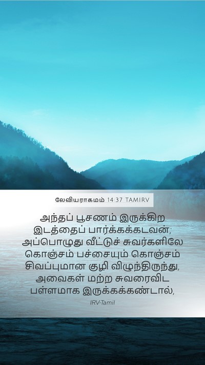 லேவியராகமம் 14:37 TAMIRV Mobile Phone Wallpaper - அந்தப் பூசணம் - Mobile Bible Verse Wallpaper