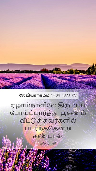 லேவியராகமம் 14:39 TAMIRV Mobile Phone Wallpaper - ஏழாம்நாளிலே - Mobile Bible Verse Wallpaper