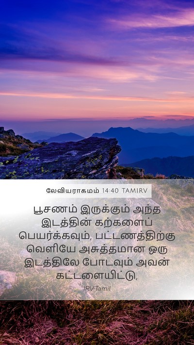 லேவியராகமம் 14:40 TAMIRV Bible Verse Image