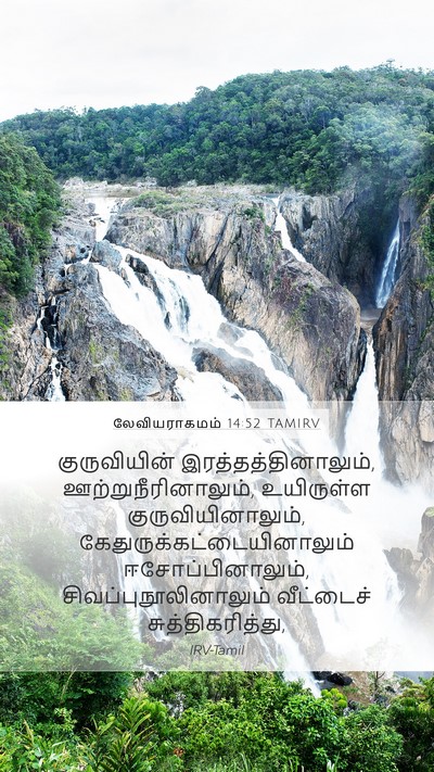 லேவியராகமம் 14:52 TAMIRV Mobile Phone Wallpaper - குருவியின் - Mobile Bible Verse Wallpaper