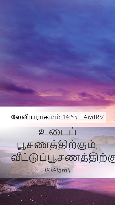 லேவியராகமம் 14:55 TAMIRV Mobile Phone Wallpaper - உடைப் - Mobile Bible Verse Wallpaper