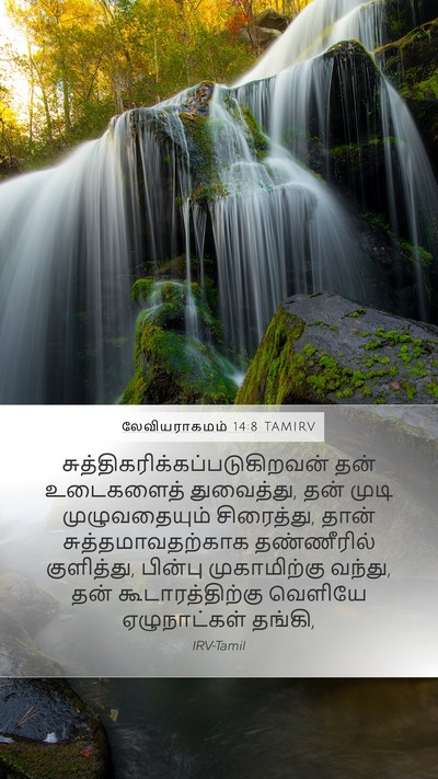 லேவியராகமம் 14:8 TAMIRV Bible Verse Image
