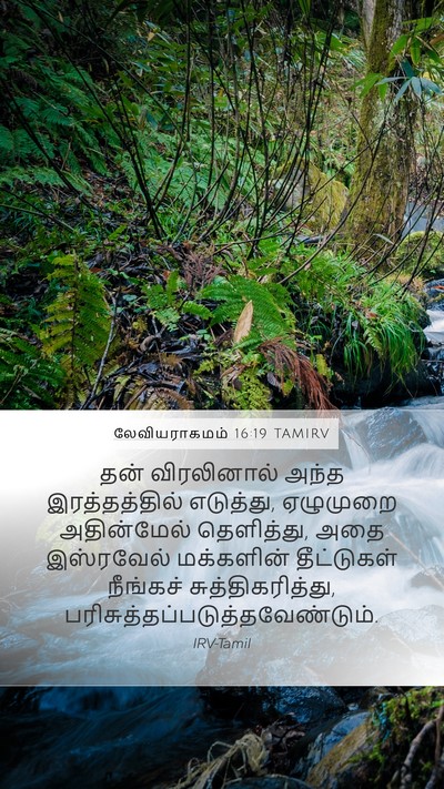 லேவியராகமம் 16:19 TAMIRV Bible Verse Image