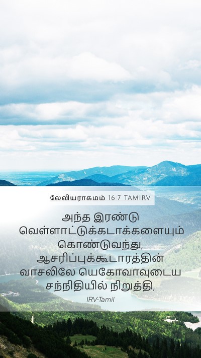 லேவியராகமம் 16:7 TAMIRV Mobile Phone Wallpaper - அந்த இரண்டு - Mobile Bible Verse Wallpaper