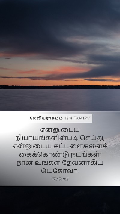 லேவியராகமம் 18:4 TAMIRV Bible Verse Image