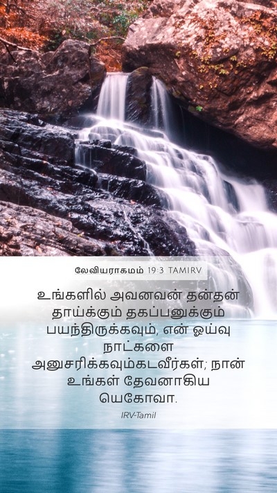 லேவியராகமம் 19:3 TAMIRV Bible Verse Image