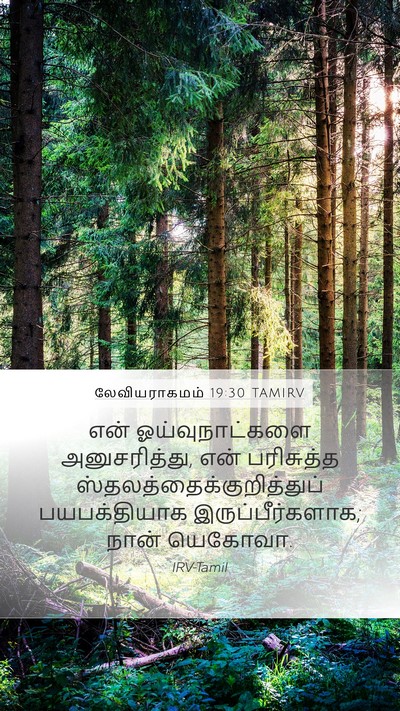 லேவியராகமம் 19:30 TAMIRV Bible Verse Image