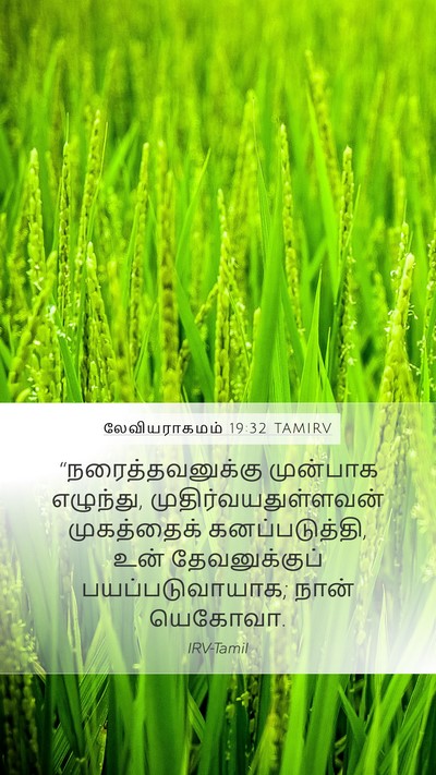 லேவியராகமம் 19:32 TAMIRV Bible Verse Image