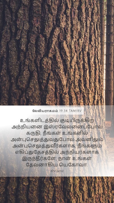 லேவியராகமம் 19:34 TAMIRV Bible Verse Image
