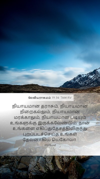 லேவியராகமம் 19:36 TAMIRV Bible Verse Image
