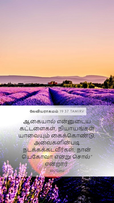 லேவியராகமம் 19:37 TAMIRV Bible Verse Image