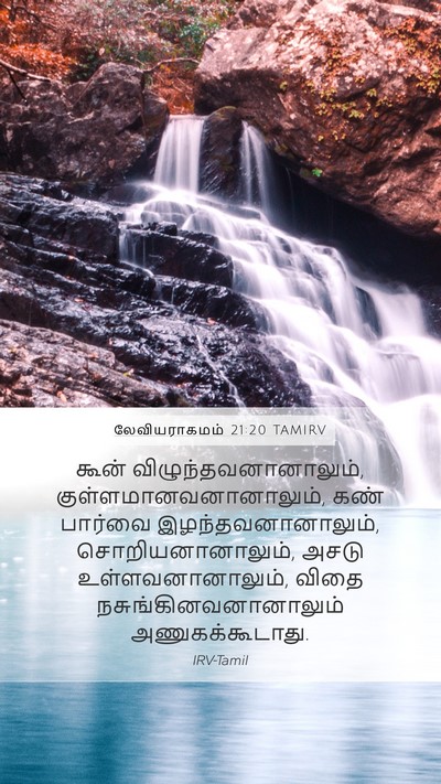 லேவியராகமம் 21:20 TAMIRV Bible Verse Image