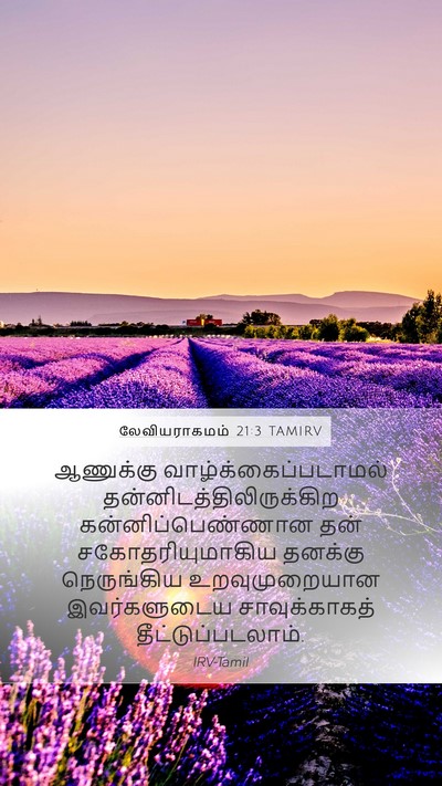 லேவியராகமம் 21:3 TAMIRV Mobile Phone Wallpaper - ஆணுக்கு - Mobile Bible Verse Wallpaper