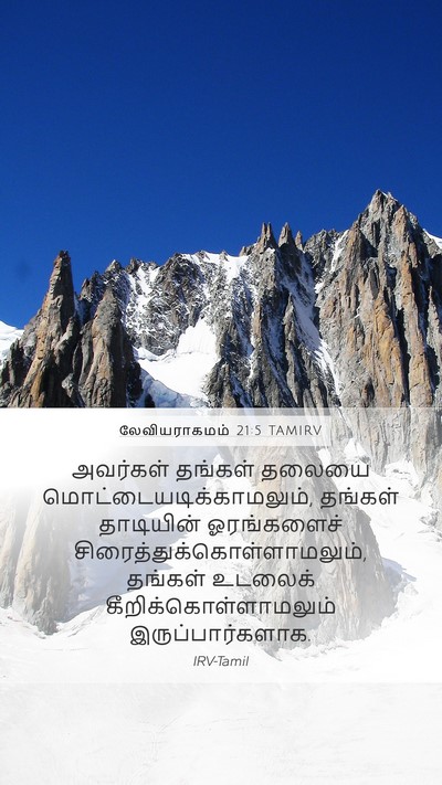 லேவியராகமம் 21:5 TAMIRV Bible Verse Image