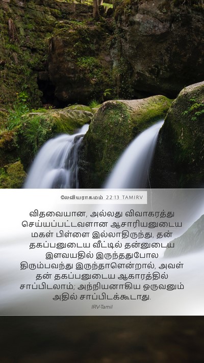 லேவியராகமம் 22:13 TAMIRV Bible Verse Image