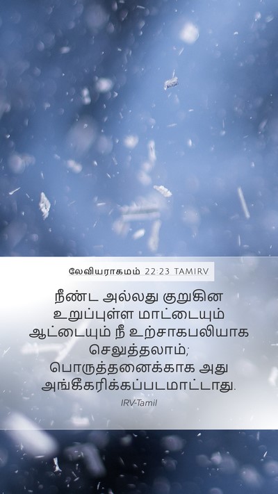 லேவியராகமம் 22:23 TAMIRV Bible Verse Image