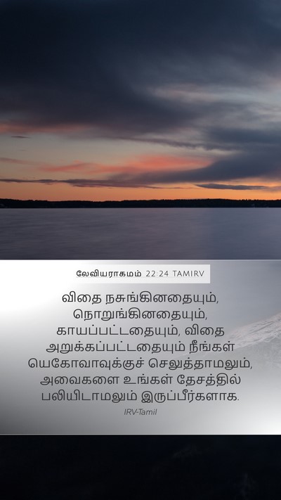 லேவியராகமம் 22:24 TAMIRV Mobile Phone Wallpaper - விதை - Mobile Bible Verse Wallpaper