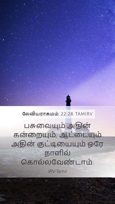 லேவியராகமம் 22:28 TAMIRV Bible Verse Image