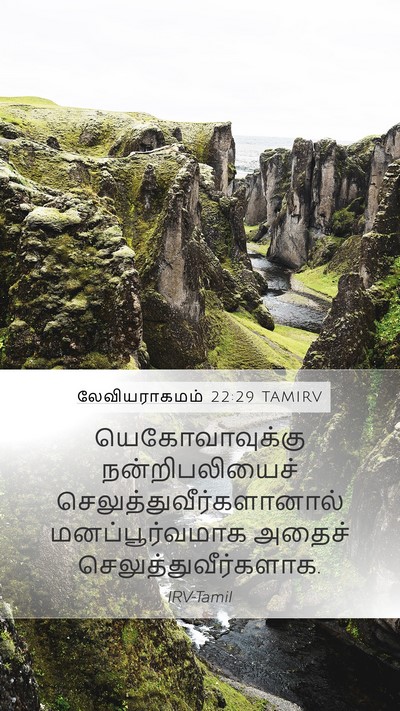 லேவியராகமம் 22:29 TAMIRV Bible Verse Image