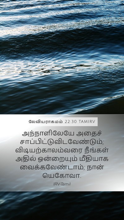 லேவியராகமம் 22:30 TAMIRV Bible Verse Image