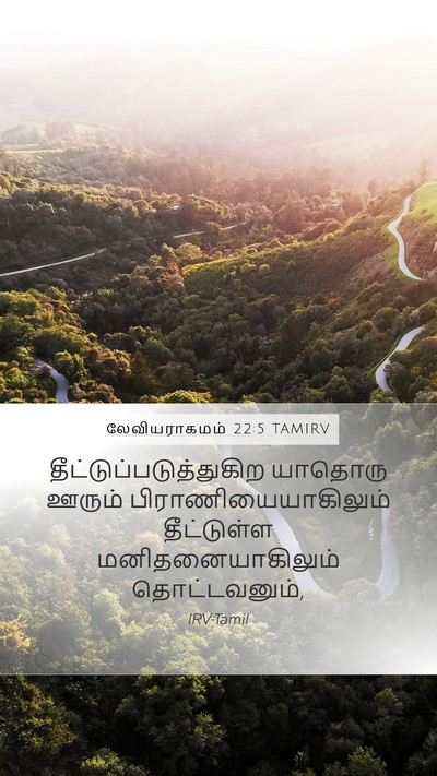 லேவியராகமம் 22:5 TAMIRV Mobile Phone Wallpaper -  - Mobile Bible Verse Wallpaper