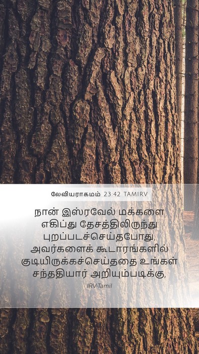 லேவியராகமம் 23:42 TAMIRV Bible Verse Image