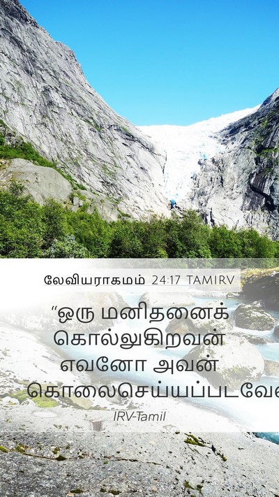 லேவியராகமம் 24:17 TAMIRV Bible Verse Image