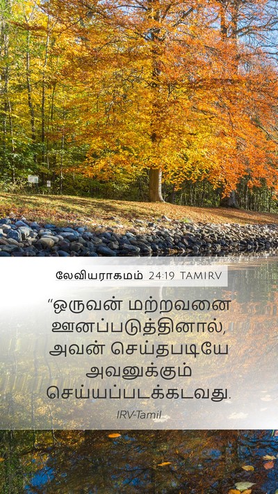 லேவியராகமம் 24:19 TAMIRV Bible Verse Image