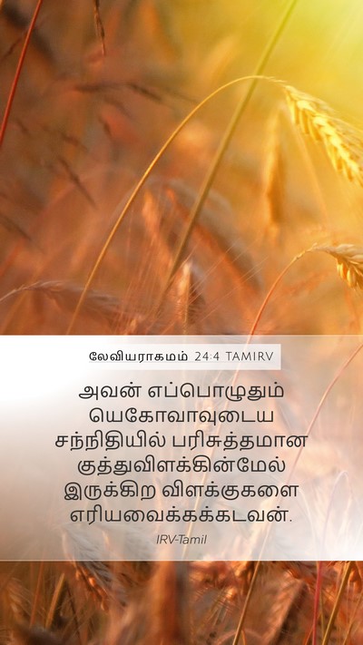 லேவியராகமம் 24:4 TAMIRV Bible Verse Image