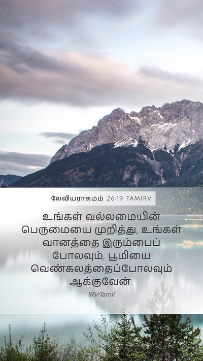 லேவியராகமம் 26:19 TAMIRV Bible Verse Image