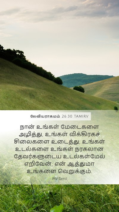 லேவியராகமம் 26:30 TAMIRV Bible Verse Image