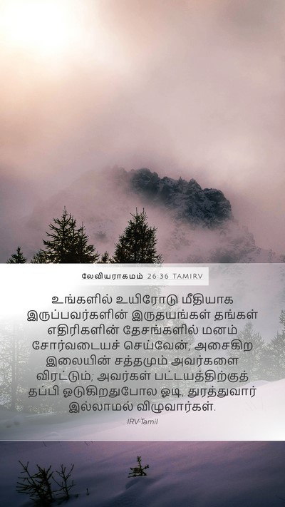 லேவியராகமம் 26:36 TAMIRV Bible Verse Image