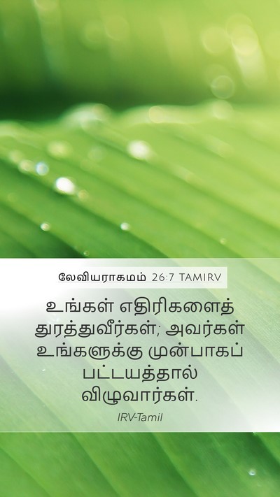 லேவியராகமம் 26:7 TAMIRV Mobile Phone Wallpaper - உங்கள் எதிரிகளைத் - Mobile Bible Verse Wallpaper
