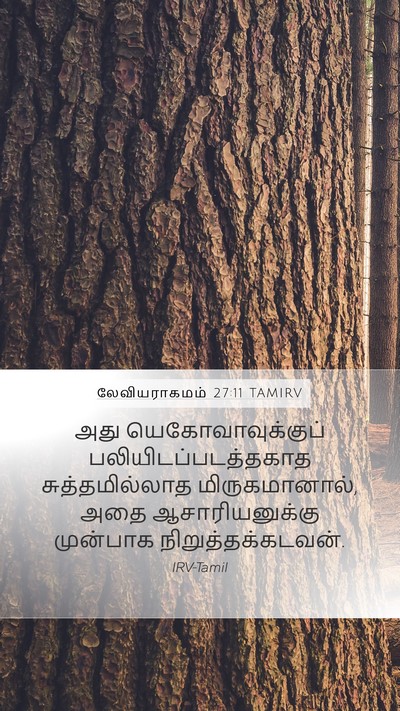 லேவியராகமம் 27:11 TAMIRV Mobile Phone Wallpaper - அது - Mobile Bible Verse Wallpaper