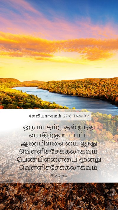 லேவியராகமம் 27:6 TAMIRV Mobile Phone Wallpaper - ஒரு மாதம்முதல் - Mobile Bible Verse Wallpaper