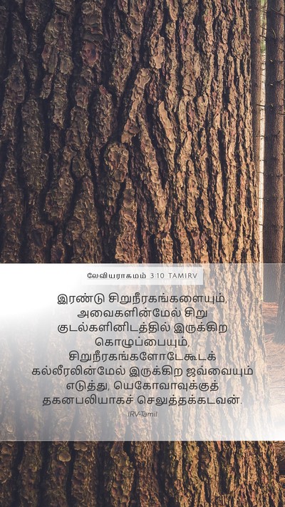 லேவியராகமம் 3:10 TAMIRV Mobile Phone Wallpaper - இரண்டு - Mobile Bible Verse Wallpaper